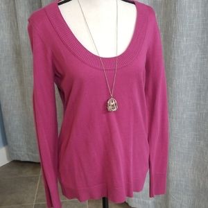 Ann Taylor Loft sweater